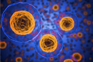 Promising new immunotherapy could target all cancer types